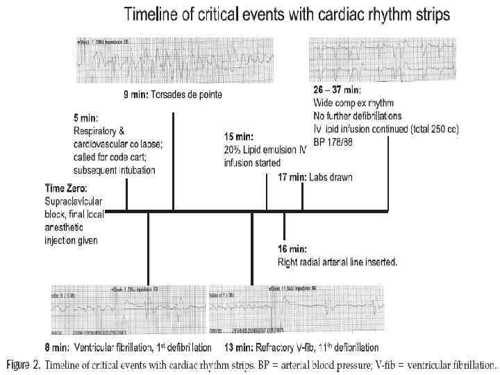  Warren, J. A. , R. B. Thoma, et al. (2008). 