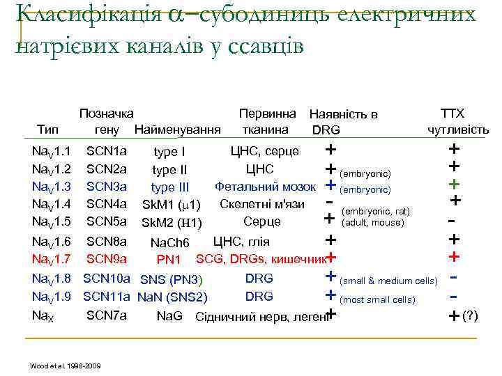 Класифікація субодиниць електричних натрієвих каналів у ссавців Тип Na. V 1. 1 Na. V