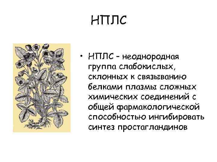 НПЛС • НПЛС – неоднородная группа слабокислых, склонных к связыванию белками плазмы сложных химических