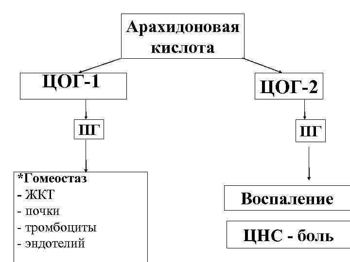 Арахидоновая кислота ЦОГ-1 ЦОГ-2 ПГ ПГ *Гомеостаз - ЖКТ - почки - тромбоциты -