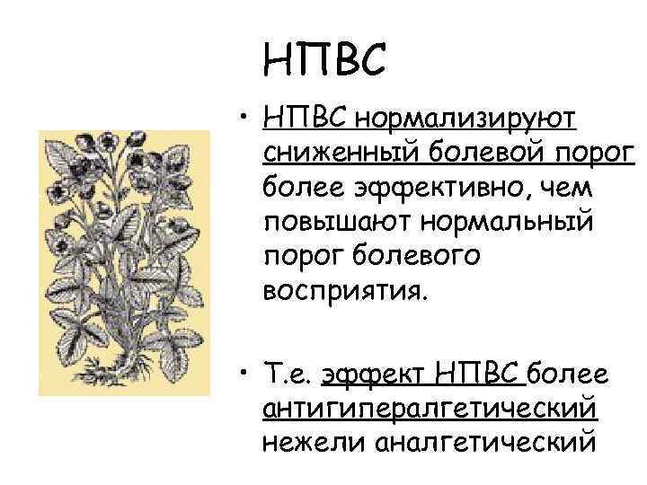 НПВС • НПВС нормализируют сниженный болевой порог более эффективно, чем повышают нормальный порог болевого