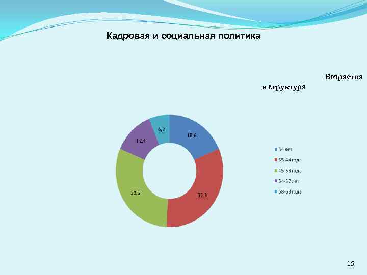 Кадровая и социальная политика Возрастна я структура 15 