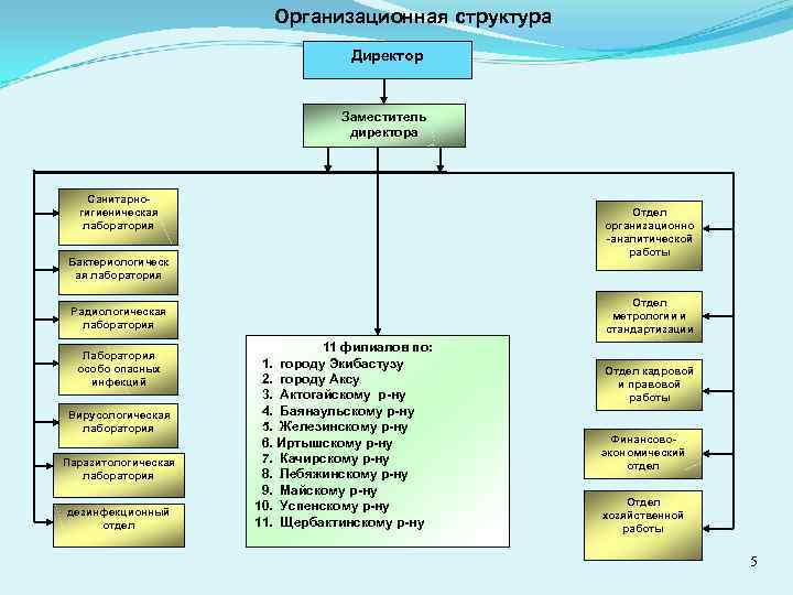 Организационная структура Директор Заместитель директора Санитарногигиеническая лаборатория Отдел организационно -аналитической работы Бактериологическ ая лаборатория