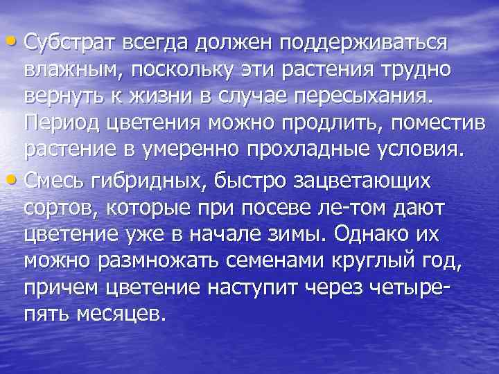  • Субстрат всегда должен поддерживаться влажным, поскольку эти растения трудно вернуть к жизни