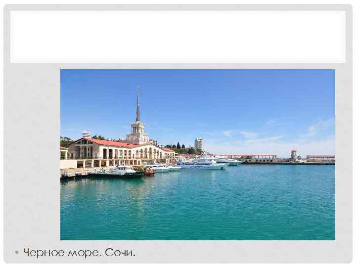  • Черное море. Сочи. 