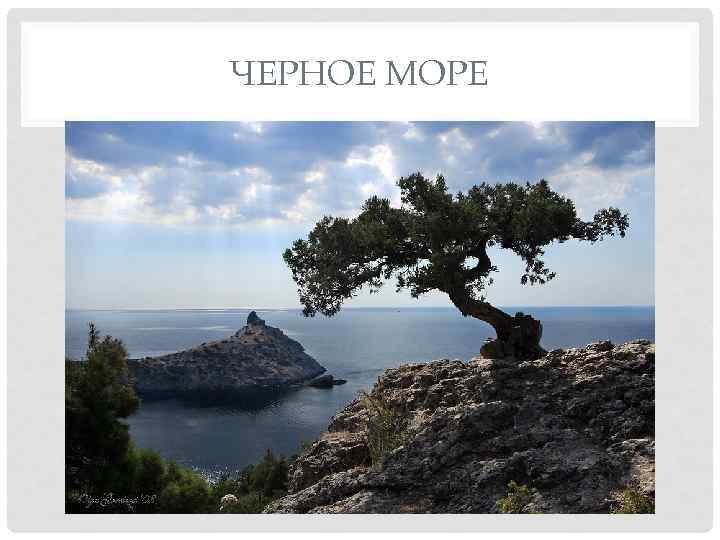ЧЕРНОЕ МОРЕ 