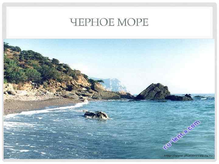 ЧЕРНОЕ МОРЕ 