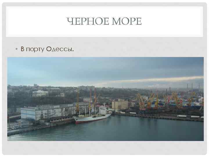 ЧЕРНОЕ МОРЕ • В порту Одессы. 