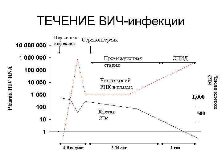 Периоды течения вич