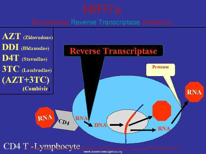 NRTI’s (Nucleoside Reverse Transcriptase Inhibitors) AZT (Zidovudone) DDI (Didanosine) D 4 T (Stavudine) 3