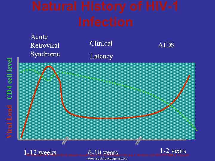 Natural History of HIV-1 Infection Viral Load CD 4 cell level Acute Retroviral Syndrome