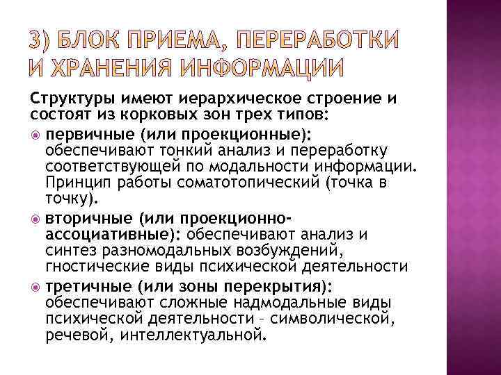 Структуры имеют иерархическое строение и состоят из корковых зон трех типов: первичные (или проекционные):