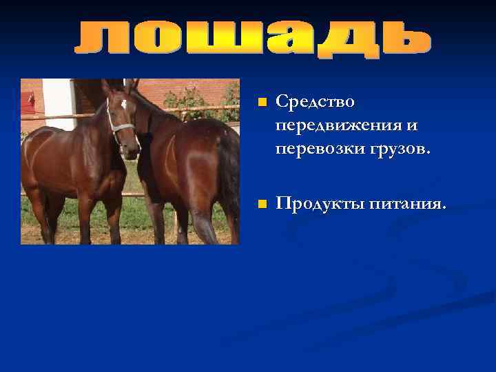 n Средство передвижения и перевозки грузов. n Продукты питания. 