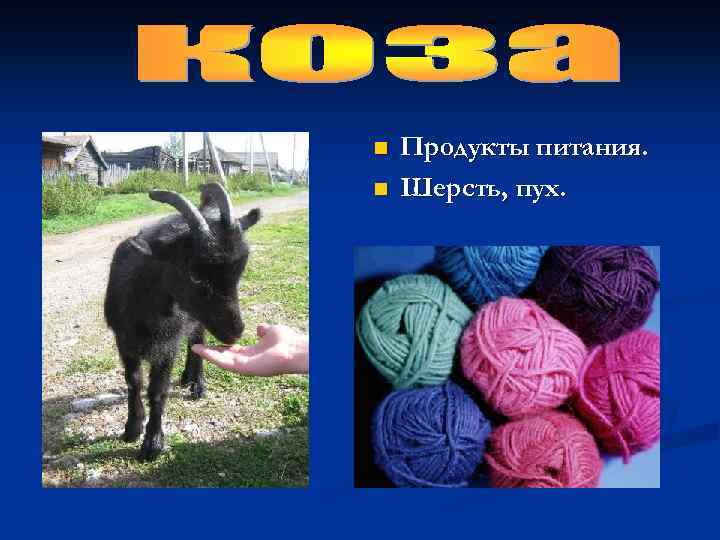 n n Продукты питания. Шерсть, пух. 