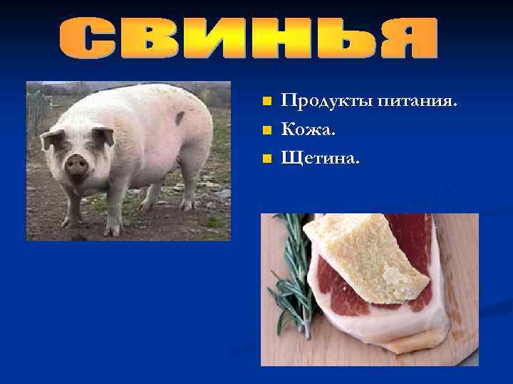 n n n Продукты питания. Кожа. Щетина. 
