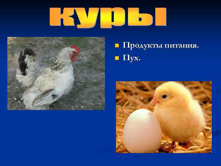 n n Продукты питания. Пух. 