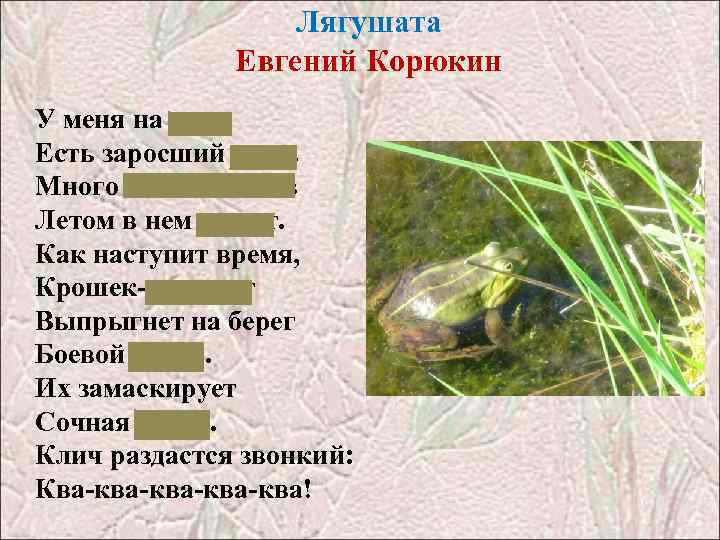 Лягушата Евгений Корюкин У меня на даче Есть заросший пруд. Много головастиков Летом в