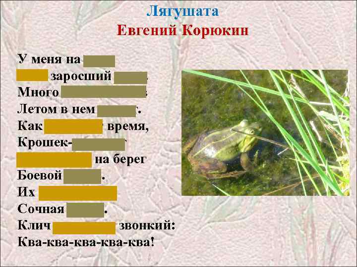Лягушата Евгений Корюкин У меня на даче Есть заросший пруд. Много головастиков Летом в