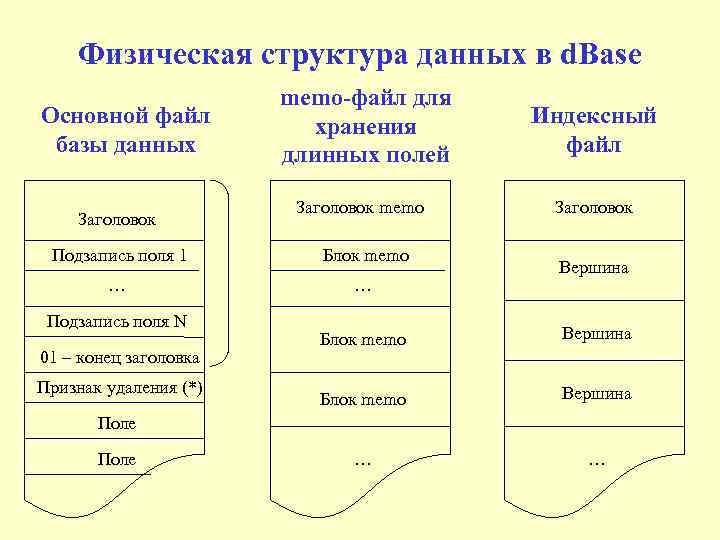 Физическая структура данных в d. Base Основной файл базы данных Заголовок memo-файл для хранения