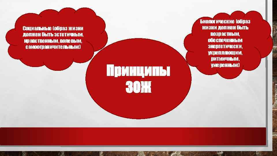 Социальные (образ жизни должен быть эстетичным, нравственным, волевым, самоограничительным) Принципы ЗОЖ Биологические (образ жизни