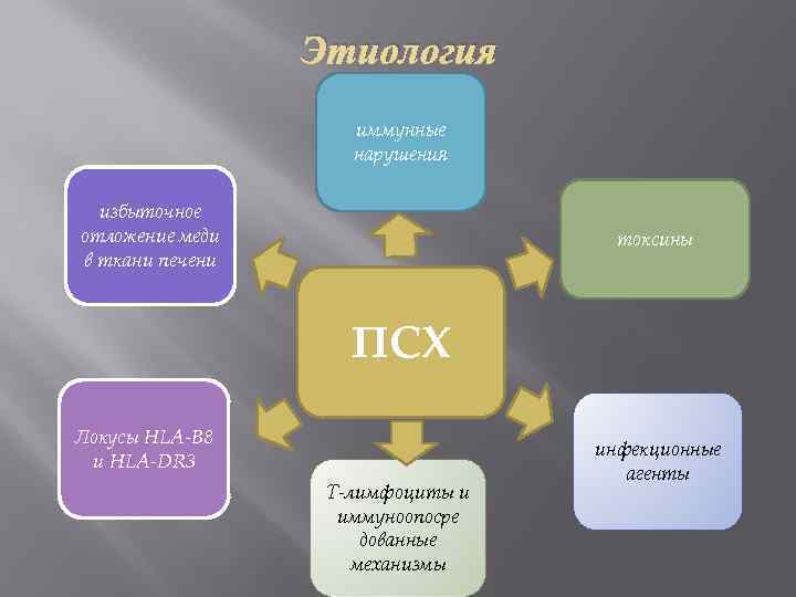 Этиология иммунные нарушения избыточное отложение меди в ткани печени токсины ПСХ Локусы HLA-B 8