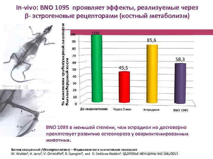 % изменения трабекулярной плотности большеберцовой кости In-vivo: BNO 1095 проявляет эффекты, реализуемые через β-