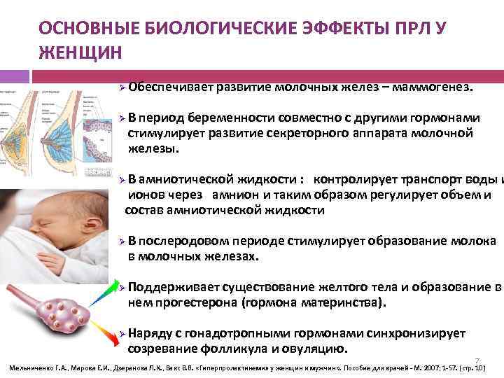 ОСНОВНЫЕ БИОЛОГИЧЕСКИЕ ЭФФЕКТЫ ПРЛ У ЖЕНЩИН Ø Ø Обеспечивает развитие молочных желез – маммогенез.