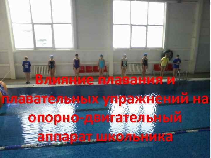 Влияние плавания и плавательных упражнений на опорно-двигательный аппарат школьника 