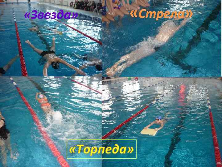  «Звезда» «Стрела» «Торпеда» 