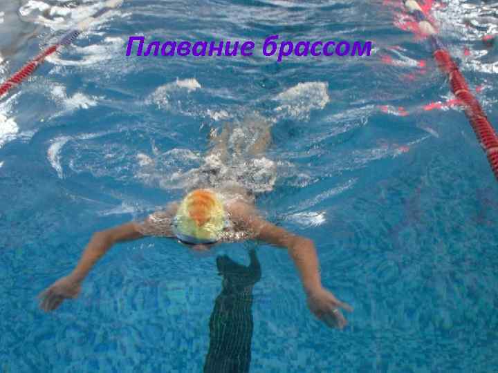 Плавание брассом 