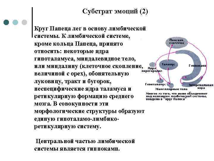 Субстрат эмоций (2) Круг Папеца лег в основу лимбической системы. К лимбической системе, кроме