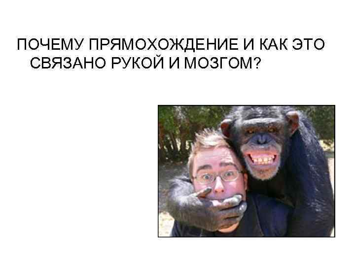 ПОЧЕМУ ПРЯМОХОЖДЕНИЕ И КАК ЭТО СВЯЗАНО РУКОЙ И МОЗГОМ? 