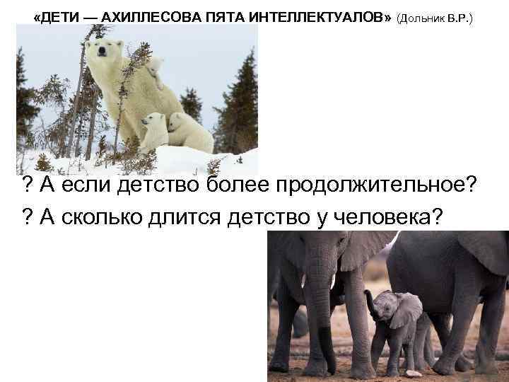  «ДЕТИ — АХИЛЛЕСОВА ПЯТА ИНТЕЛЛЕКТУАЛОВ» (Дольник В. Р. ) ? А если детство