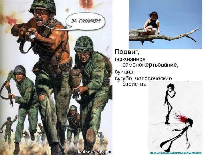 Подвиг, осознанное самопожертвование, суицид – сугубо человеческие свойства http: //www. diary. ru/~Balmora/p 39273687. htm#form