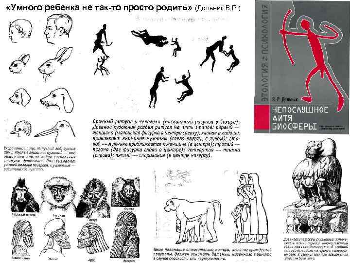  «Умного ребенка не так-то просто родить» (Дольник В. Р. ) 