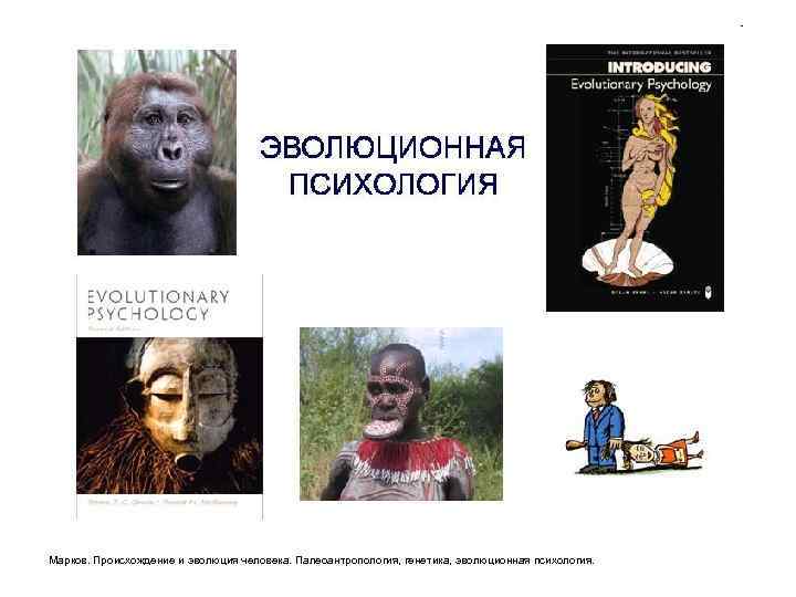 Марков. Происхождение и эволюция человека. Палеоантропология, генетика, эволюционная психология. 