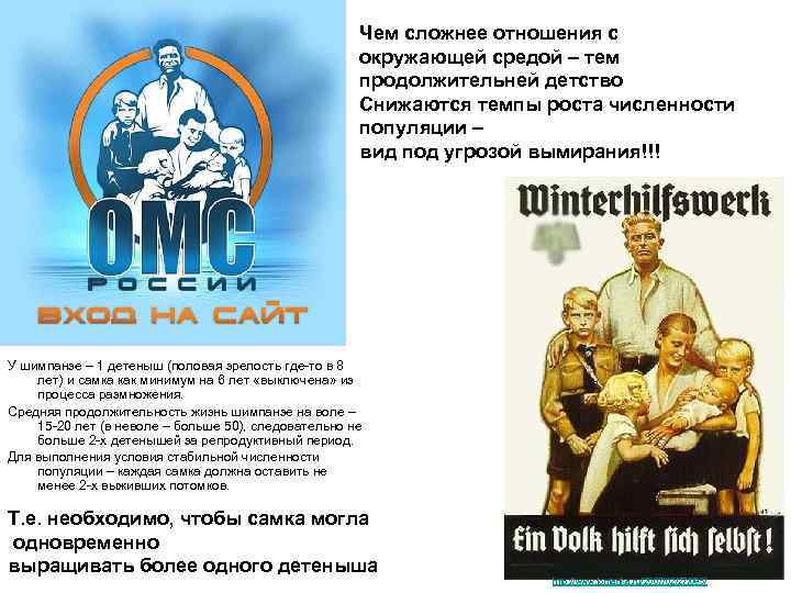 Чем сложнее отношения с окружающей средой – тем продолжительней детство Снижаются темпы роста численности