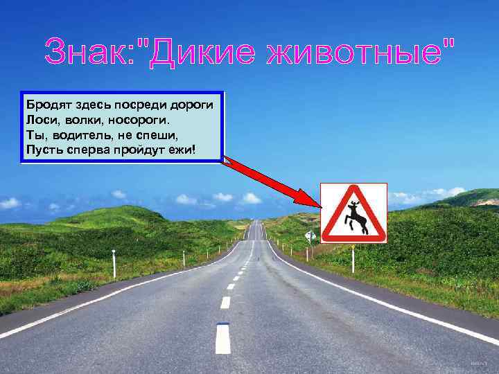 Бродят здесь посреди дороги Лоси, волки, носороги. Ты, водитель, не спеши, Пусть сперва пройдут