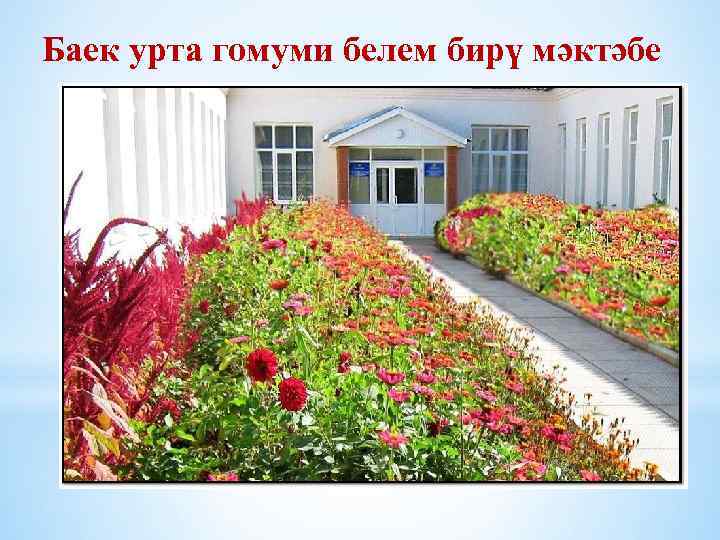 Баек урта гомуми белем бирү мәктәбе 