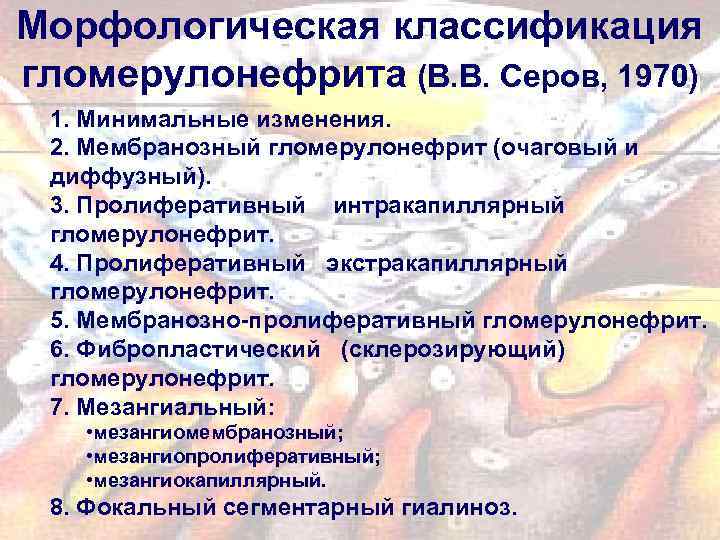 Морфологическая классификация гломерулонефрита (В. В. Серов, 1970) 1. Минимальные изменения. 2. Мембранозный гломерулонефрит (очаговый