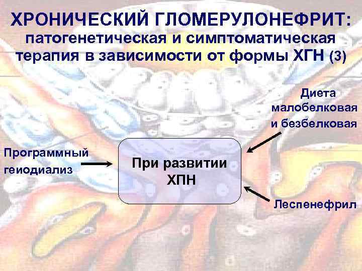 ХРОНИЧЕСКИЙ ГЛОМЕРУЛОНЕФРИТ: патогенетическая и симптоматическая терапия в зависимости от формы ХГН (3) Диета малобелковая