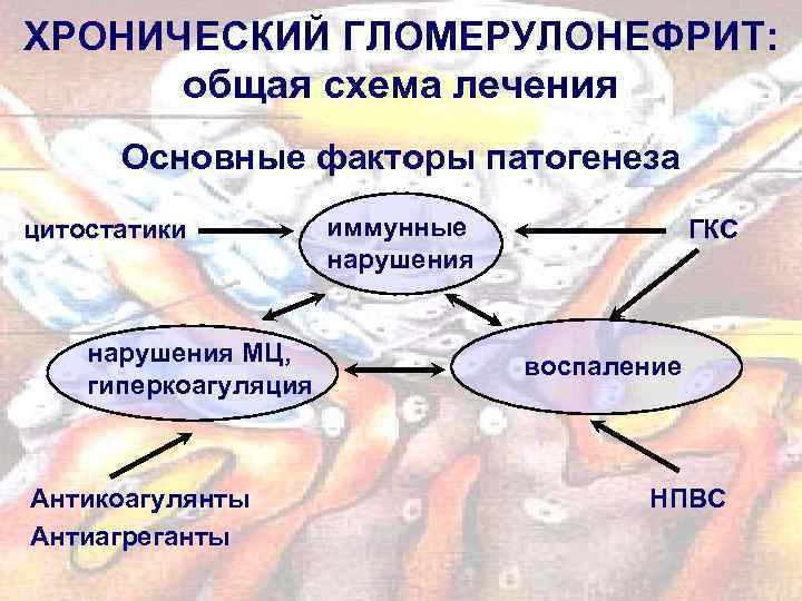 ХРОНИЧЕСКИЙ ГЛОМЕРУЛОНЕФРИТ: общая схема лечения Основные факторы патогенеза цитостатики нарушения МЦ, гиперкоагуляция Антикоагулянты Антиагреганты