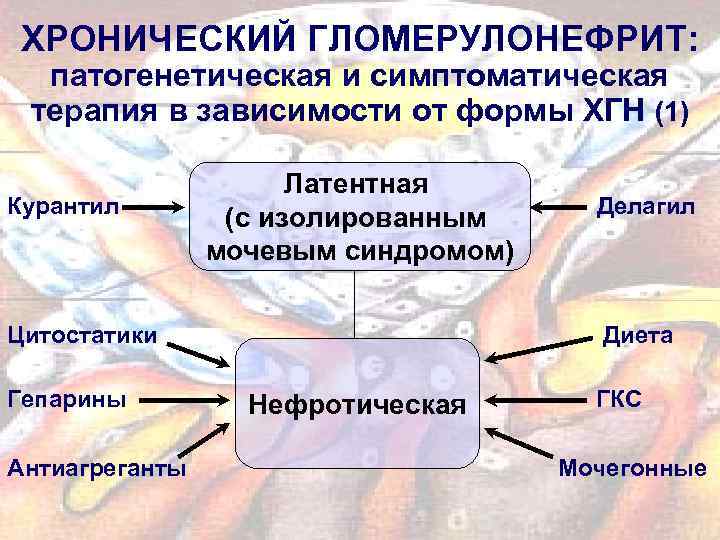 ХРОНИЧЕСКИЙ ГЛОМЕРУЛОНЕФРИТ: патогенетическая и симптоматическая терапия в зависимости от формы ХГН (1) Курантил Латентная