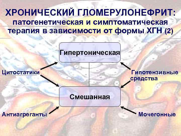 ХРОНИЧЕСКИЙ ГЛОМЕРУЛОНЕФРИТ: патогенетическая и симптоматическая терапия в зависимости от формы ХГН (2) Гипертоническая Цитостатики