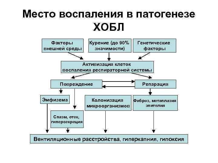 Патогенез и схему лечения высотного отека легких