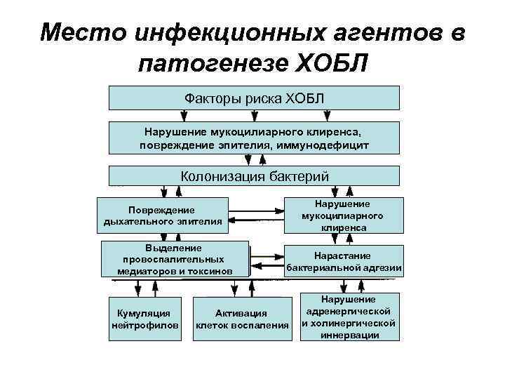 Схема патогенеза хобл