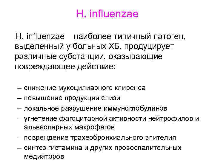 H. influenzae – наиболее типичный патоген, выделенный у больных ХБ, продуцирует различные субстанции, оказывающие