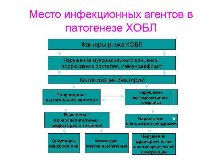 Место инфекционных агентов в патогенезе ХОБЛ Факторы риска ХОБЛ Нарушение мукоцилиарного клиренса, повреждение эпителия,