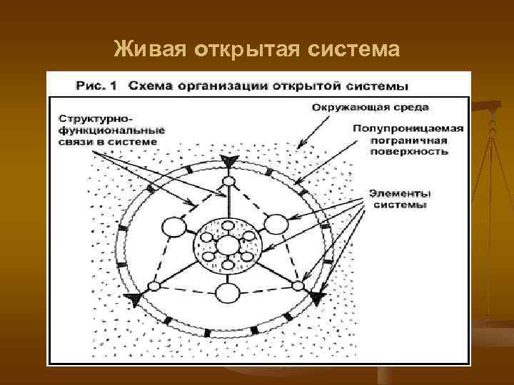 Живая открытая система 