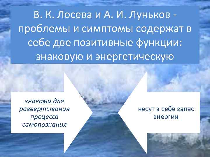 В. К. Лосева и А. И. Луньков проблемы и симптомы содержат в себе две